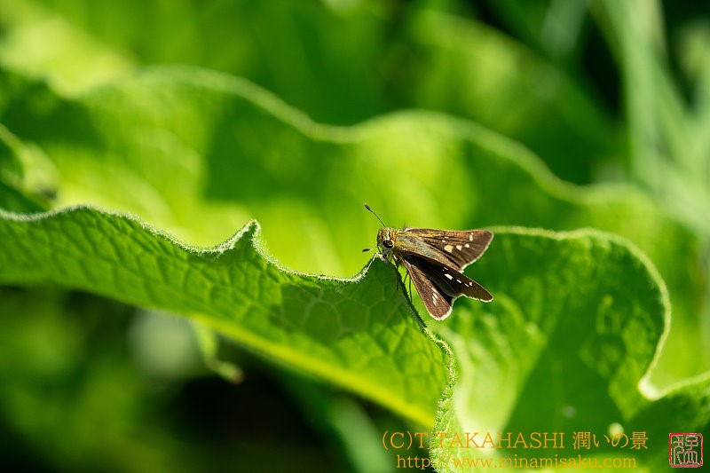 ../Images/7R241013 (144).jpg